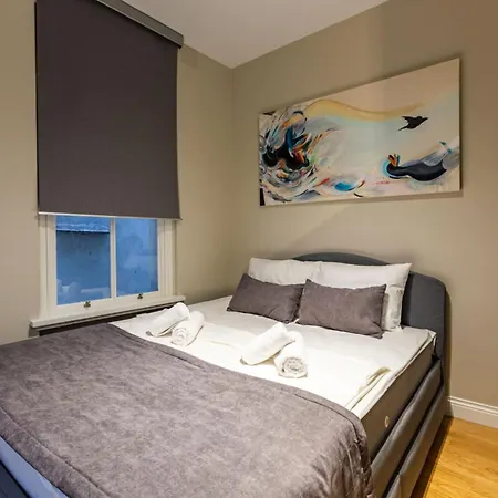 公寓 Stylish Duplex With Bosphorus View - Ac Elevator *